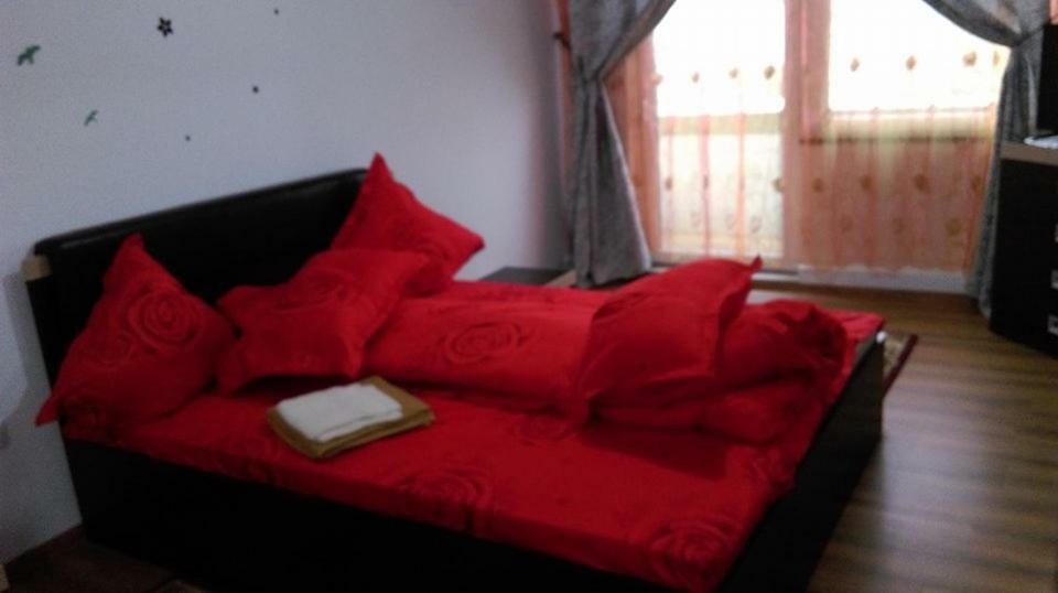 Vila Annemaryy Arbore Εξωτερικό φωτογραφία