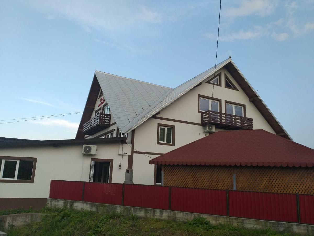 Vila Annemaryy Arbore Εξωτερικό φωτογραφία