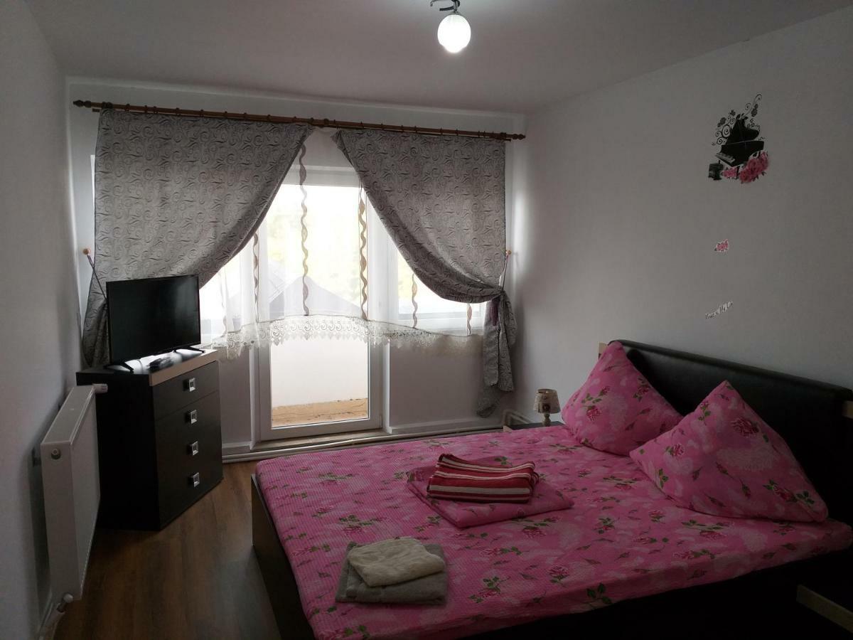 Vila Annemaryy Arbore Εξωτερικό φωτογραφία